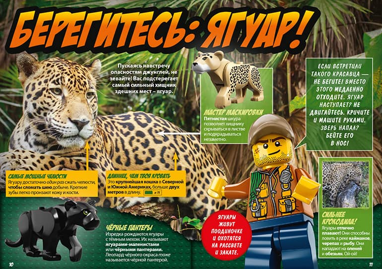 National Geographic - Creative Translation-Brightlines